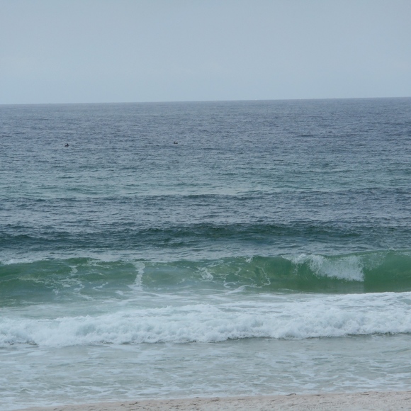 Meet your Posher, Celia! Girl from Alabama - Picture 2 of 5